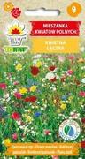 Nasiona i cebule - Toraf KWIATY Kwietna Łączka mix kwiatów polnych 2g 00297 - miniaturka - grafika 1