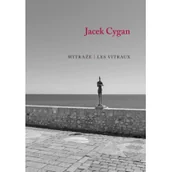 Historia Polski - Witraże. Les vitraux - Jacek Cygan - miniaturka - grafika 1