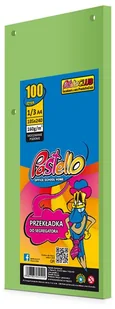 Pastello Przekładka do segregatora 13 A4 100k It130 ziel - Wkłady do segregatora - miniaturka - grafika 1