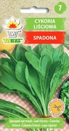 Nasiona i cebule - Cykoria liściowa SPADONA (zielona) Cichorium intybus L. var. foliosum Hegi - miniaturka - grafika 1