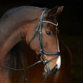 Ogłowia - Kieffer Ogłowie anatomiczne STELLA Ultrasoft - miniaturka - grafika 1