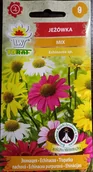 Nasiona i cebule - Jeżówka Mix Roślina Miododajna Nasiona 1 G - miniaturka - grafika 1