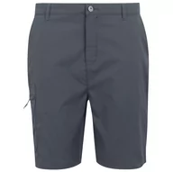Spodenki męskie - Męskie szorty Regatta Dalry Short Rozmiar: L-XL / Kolor: szary - miniaturka - grafika 1