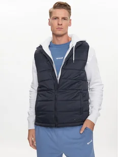 Sprandi Kamizelka SP3-KAM012 Granatowy Regular Fit - Kamizelki męskie - miniaturka - grafika 1