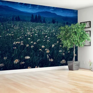 Fototapeta Mlecze żółte - Fototapety - miniaturka - grafika 1