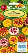 Nasiona i cebule - Cynia Meksykańska RABATY KWIETNIKI KWIAT CIĘTY - miniaturka - grafika 1