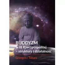 FNCE Buddyzm w III Rzeczpospolitej - struktury i działalność TOKARZ GRZEGORZ - Religia i religioznawstwo - miniaturka - grafika 1