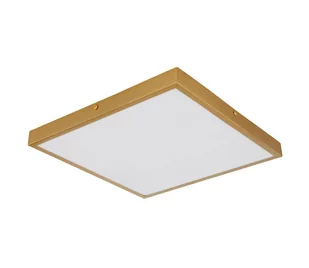 Globo 12382-22 - LED Plafon TIBEY LED/22W/230V 35x35 cm - Lampy sufitowe - miniaturka - grafika 1