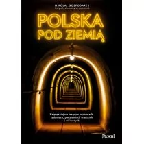 Polska pod ziemią. Najpiękniejsze trasy po kopalniach, jaskiniach, podziemiach miejskich i militarnych - Przewodniki - miniaturka - grafika 1