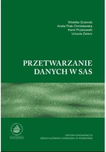 Przetwarzanie danych w sas - Biznes - miniaturka - grafika 1