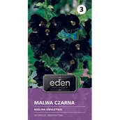 Nasiona i cebule - Malwa czarna 0,5 g Eden - miniaturka - grafika 1