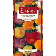 Nasiona i cebule - Pozłotka Maczek kalifornijski mix 0,7 g Eden - miniaturka - grafika 1