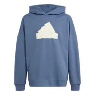 Odzież sportowa dziecięca - Future Icons Logo Hooded Sweatshirt - miniaturka - grafika 1