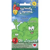 Nasiona i cebule - Sałata głowiasta masłowa May King (Królowa Majowych) - Sałata w witaminy bogata W.Legutko - miniaturka - grafika 1