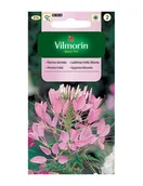 Nasiona i cebule - KLEOME MIESZANKA 1G - miniaturka - grafika 1