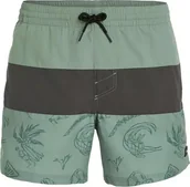 Kąpielówki męskie - O Neill Męskie Szorty MIX & MATCH CALI BLOCK 15'' SWIM SHORTS - miniaturka - grafika 1