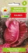 Nasiona i cebule - Kapusta głowiasta czerwona KALIBOS (stożkowa, śr. późna) Brassica oleracea L. var capitata f. rubra - miniaturka - grafika 1