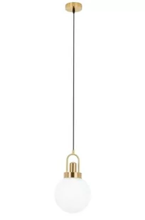 KingHome Lampa wisząca NIPP złota - stal, szkło XCP90523.GOLD [16960401] - Lampy sufitowe - miniaturka - grafika 1