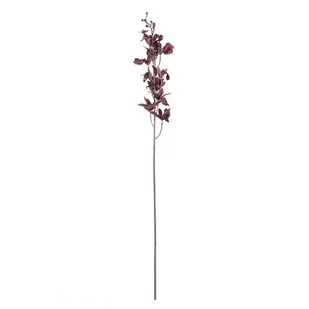 Orchidea 100cm dark plum, 10 x 10 x 100 cm - Sztuczne kwiaty - miniaturka - grafika 1