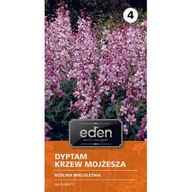 Nasiona i cebule - Dyptam Krzew Mojżesza różowy 0,2 g Eden - miniaturka - grafika 1