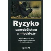 Ryzyko samobójstwa u młodzieży - Gmitrowicz Agnieszka, Marta Makara-Studzińska, Młodożeniec Anita - Pedagogika i dydaktyka - miniaturka - grafika 1