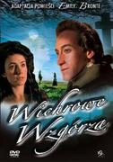 Wichrowe wzgórza (1998) [DVD]