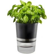 Pojemniki na przyprawy - Gefu Doniczka na zioła Botanico G-18920 - miniaturka - grafika 1