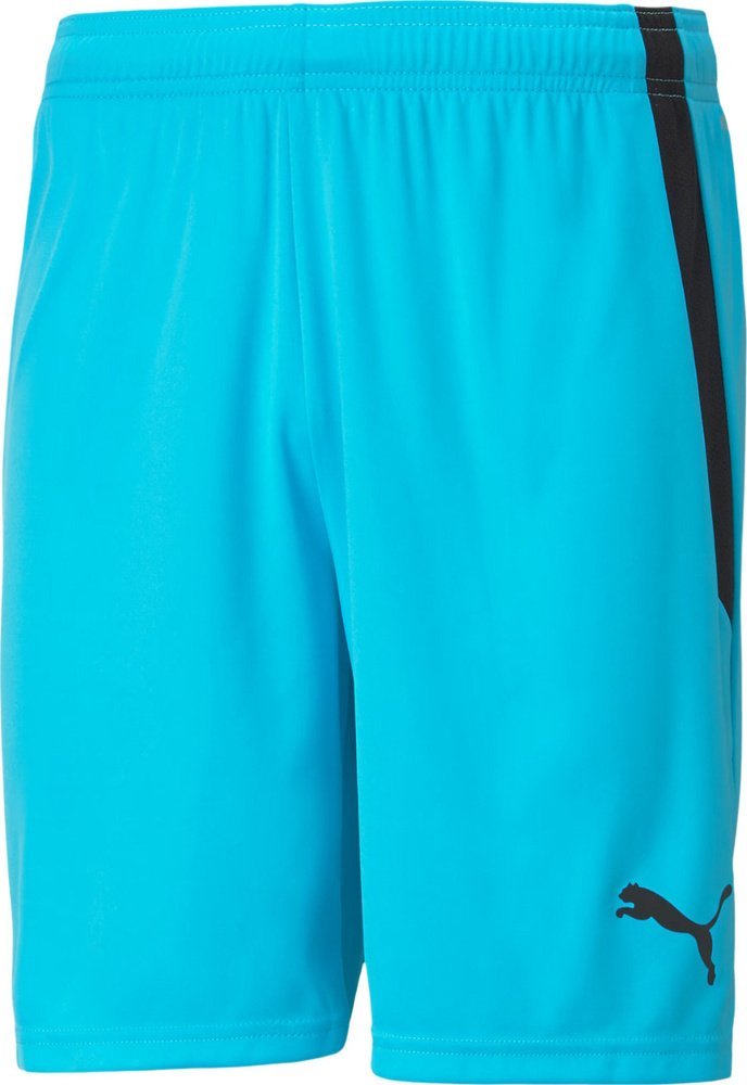 Puma Spodenki męskie Puma teamLIGA błękitne 704924 40 L