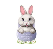 Zestawy kosmetyków damskich - Neonail Hoppy Days Ahead zestaw hybrydowych lakierów do paznokci 2 x 7,2ml - miniaturka - grafika 1