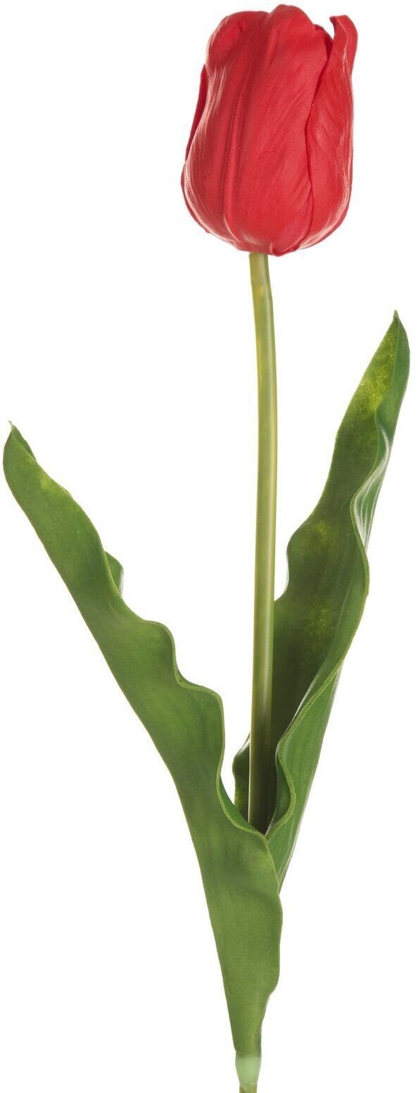 Eurofirany Kwiat sztuczny tulipan 56 cm czerwony komplet 6 szt