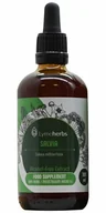 Suplementy naturalne - Lymeherbs, Salvia (Szalwia czerwona) ekstrakt bezalkoholowy 1:1, 100ml - miniaturka - grafika 1