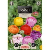 Nasiona i cebule - Jaskier mix 15 sztuk Eden - miniaturka - grafika 1