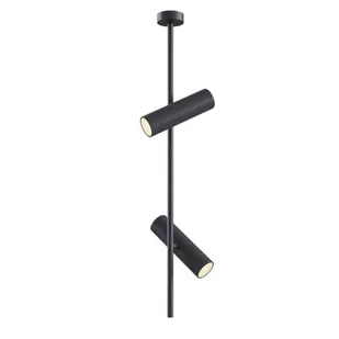 Maytoni Plafon C021CL-02B z serii ELTI Maytoni - Lampy sufitowe - miniaturka - grafika 1