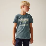 Koszulki dla chłopców - Regatta Dziecięca koszulka Bosley VIII Niebieski, Rozmiar: 164 cm - miniaturka - grafika 1