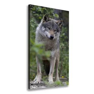 Foto obraz canvas pionowy Wilk w lesie - Obrazy i zdjęcia na płótnie - miniaturka - grafika 1