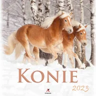 Kalendarze - Kalendarz 2023 Wieloplanszowy Konie ARTSEZON - miniaturka - grafika 1