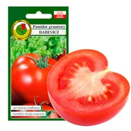 Nasiona i cebule - POMIDOR BABINICZ WCZESNY DUŻY NASIONA BEZ GMO - miniaturka - grafika 1