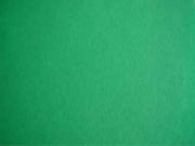 Scrapbooking - Papeterra Papier samoprzylepny ozdobny Super Stick Green (kremowa) nacinany 80g 50x70 cm, minimum 1 arkusz, paczka 200 arkuszy - miniaturka - grafika 1