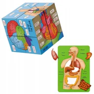 Zabawki interaktywne dla dzieci - UKŁADANKA KOSTKA EDUKACYJNA CIAŁO CZŁOWIEKA NARZĄDY LUDZKIE Z OPISAMI - miniaturka - grafika 1