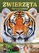 Encyklopedie i leksykony - Fenix Zwierzęta. Encyklopedia praca zbiorowa - miniaturka - grafika 1