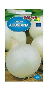 Cebula Agostana 4 g POLAN - Nasiona i cebule - miniaturka - grafika 1