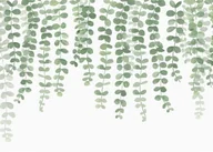 Fototapety - Wiszący bluszcz - fototapeta 320x230 cm - miniaturka - grafika 1