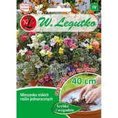 Nasiona i cebule - Mieszanka niskich roślin jednorocznych na krążku W.Legutko - miniaturka - grafika 1