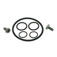 Pozostałe akcesoria do akwarium - EHEIM zestaw pierścieni uszczelniających do 3721210 (7481300) - miniaturka - grafika 1