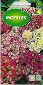Nasiona i cebule - Motylek mieszany 2 g POLAN - miniaturka - grafika 1