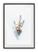 Plakaty - Plakat B2 50x70 cm Kwiaty Natura Rośliny Zieleń   WZORY - miniaturka - grafika 1