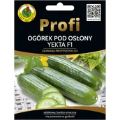 Nasiona i cebule - Ogórek pod osłony Yekta nasiona 15szt. Pnos - miniaturka - grafika 1