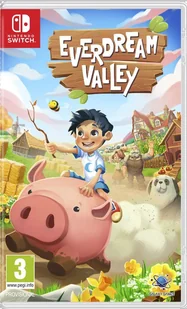 Everdream Valley Nintendo Switch 2 arkusze naklejek mapa - Akcesoria do Nintendo - miniaturka - grafika 1