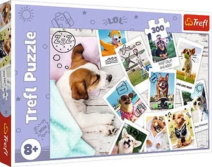 Trefl Zdjęcia z Wakacji Puzzle 300 Elementów o Wysokiej Jakości Nadruku dla Dzieci od 8 lat - Puzzle - miniaturka - grafika 1