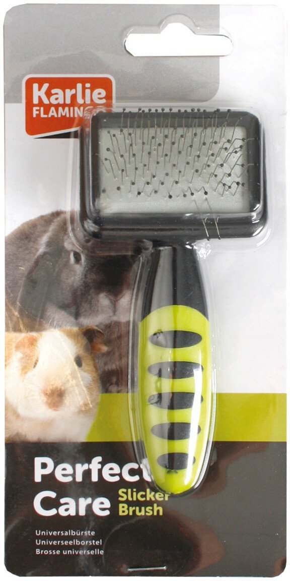 Rodent, szczotka dla gryzonia, stal, plastikowa, 12X6X3.5cm